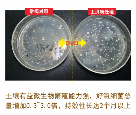 wechat_2025-10-13_152129_070.png