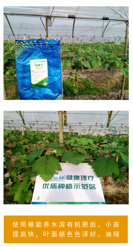 wechat_2025-10-13_172406_569.png