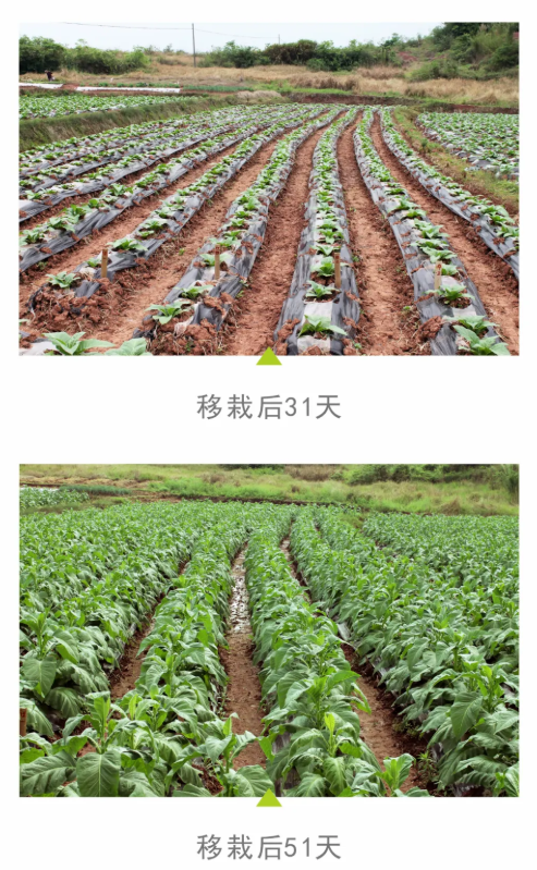 wechat_2025-10-13_145504_910.png