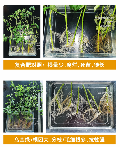 wechat_2025-10-13_161421_924.png