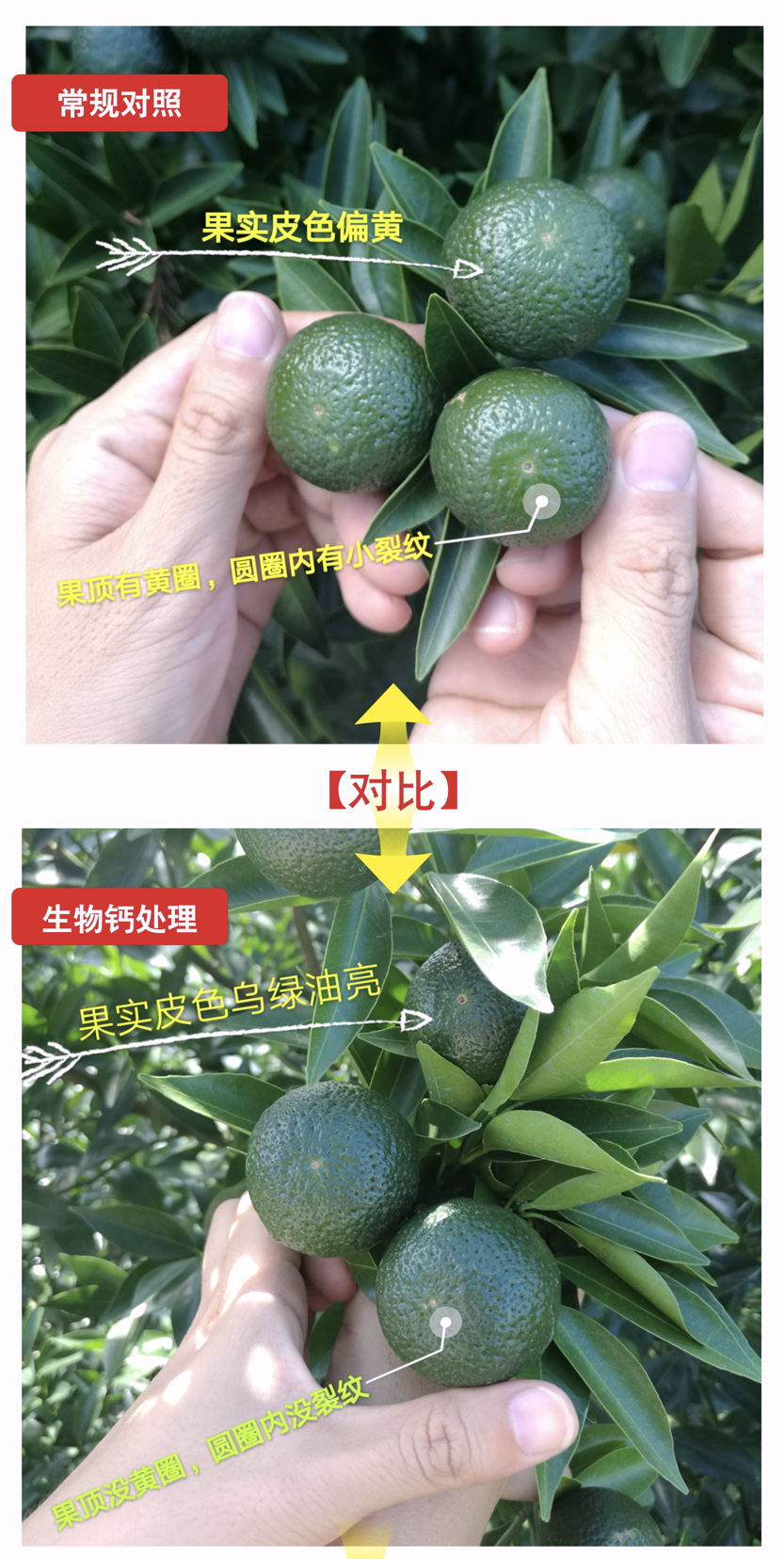 wechat_2025-10-14_095205_172.png