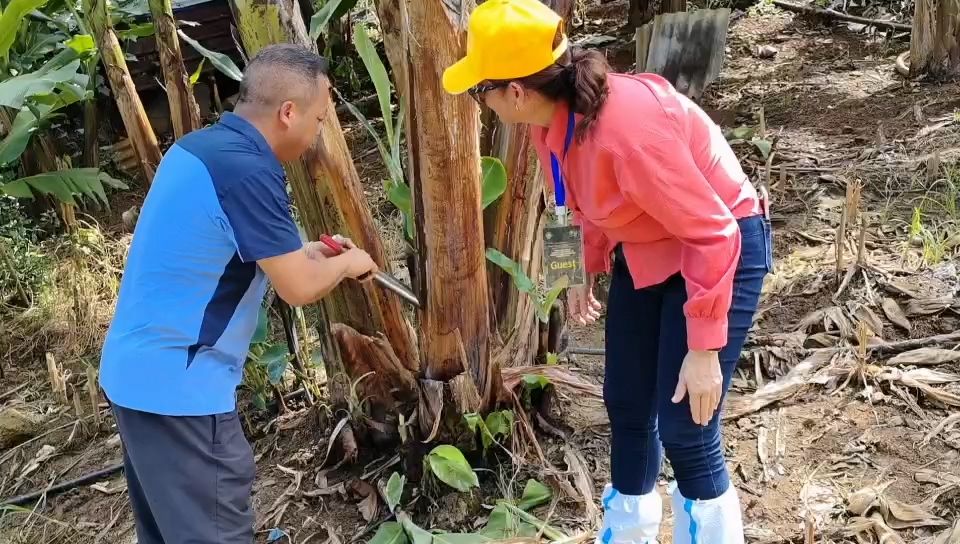 video(5).mp4_20250826_152923.311.jpg