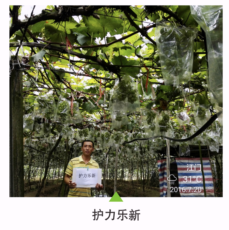 wechat_2025-10-22_153831_009.png