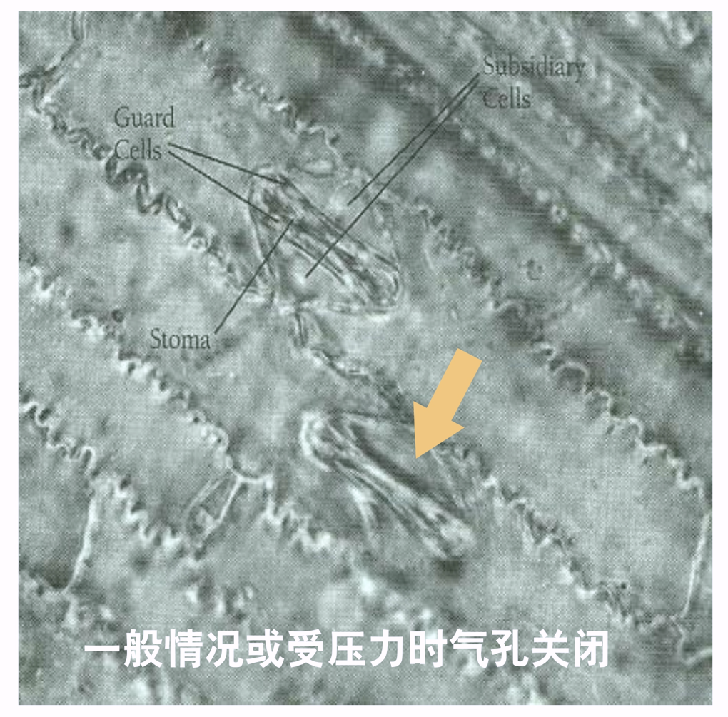 wechat_2025-10-22_165021_229.png