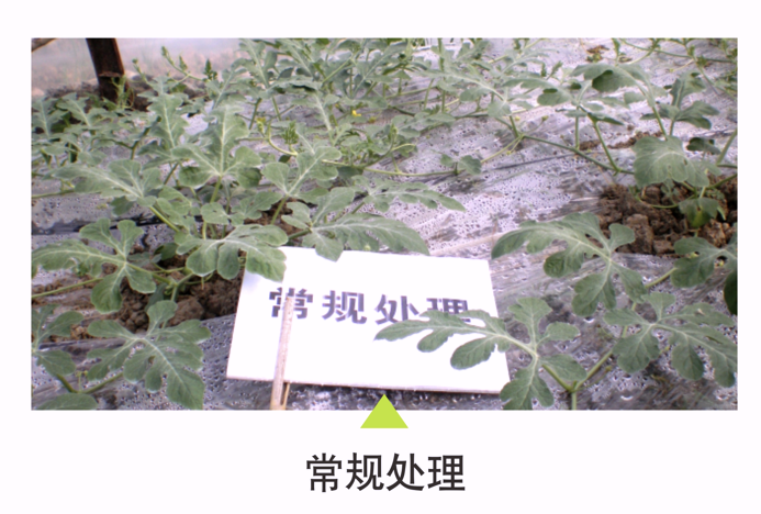 wechat_2025-10-22_151828_415.png