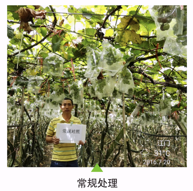wechat_2025-10-22_153825_393.png