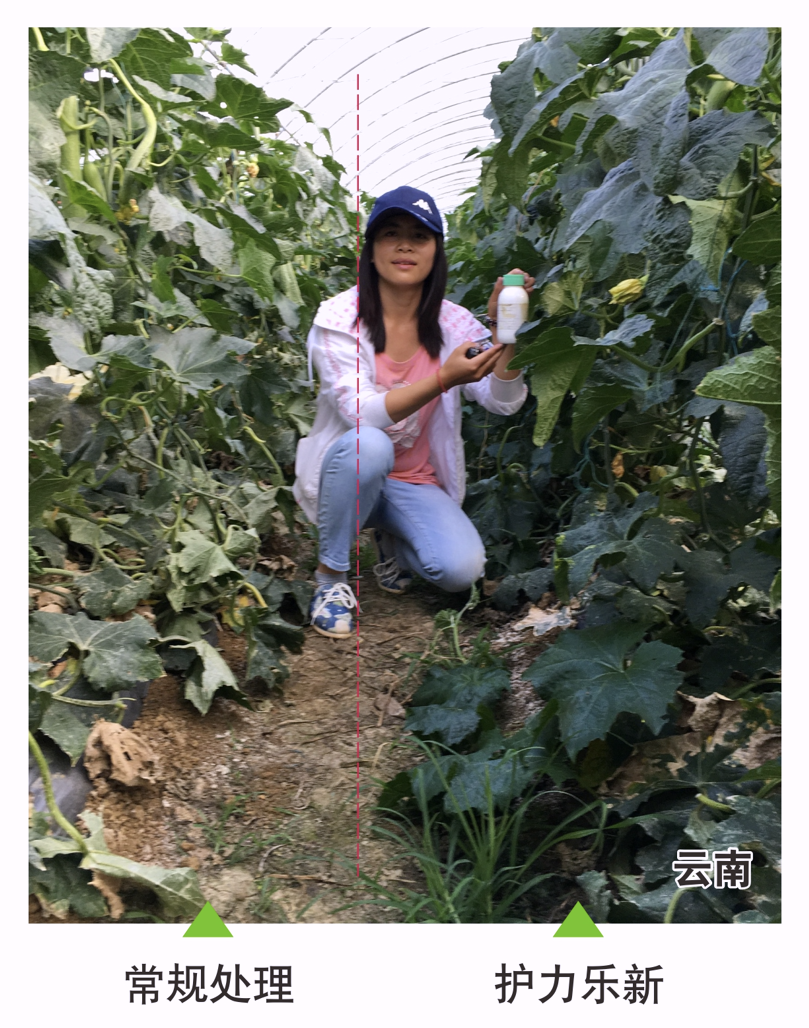 wechat_2025-10-22_153816_636.png