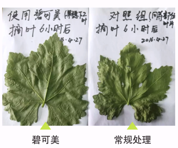 wechat_2025-10-22_161622_916.png