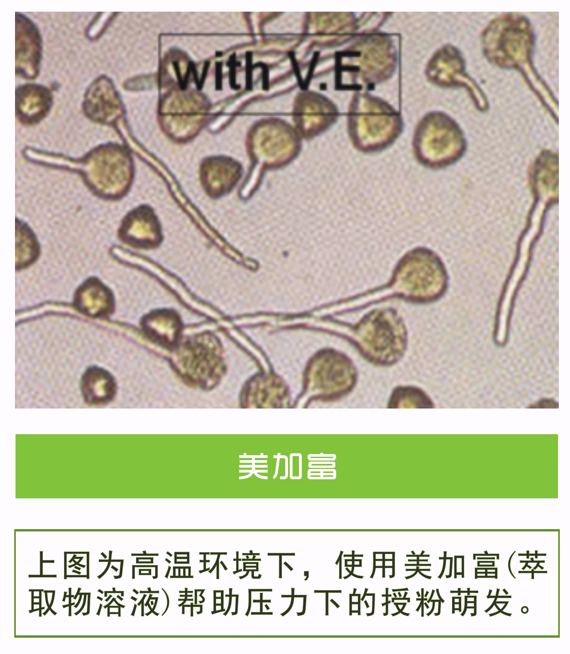wechat_2025-10-22_155742_322.png
