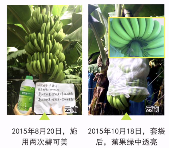 wechat_2025-10-22_161628_991.png