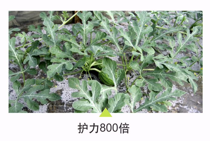 wechat_2025-10-22_151833_711.png