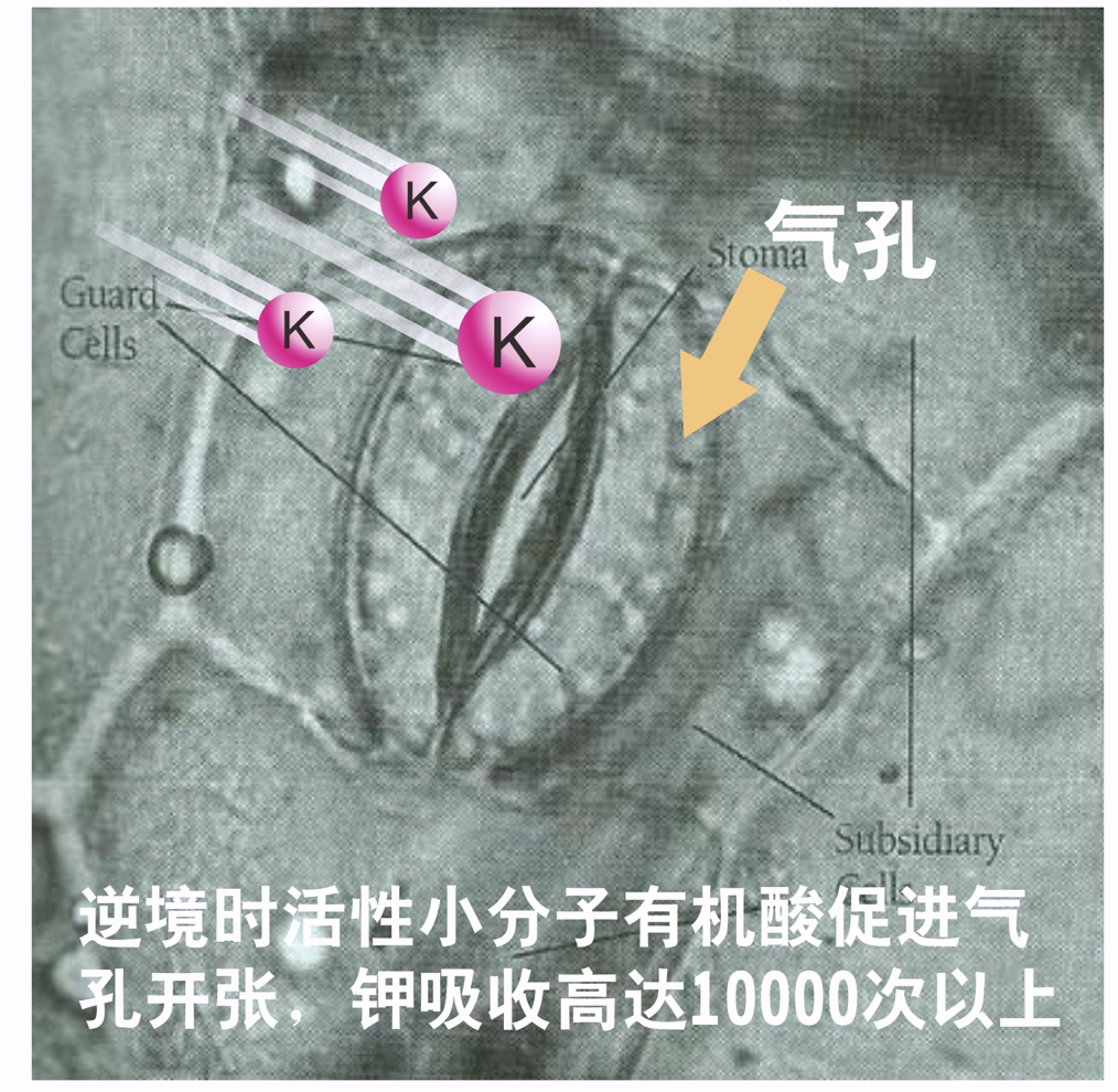 wechat_2025-10-22_165029_995.png