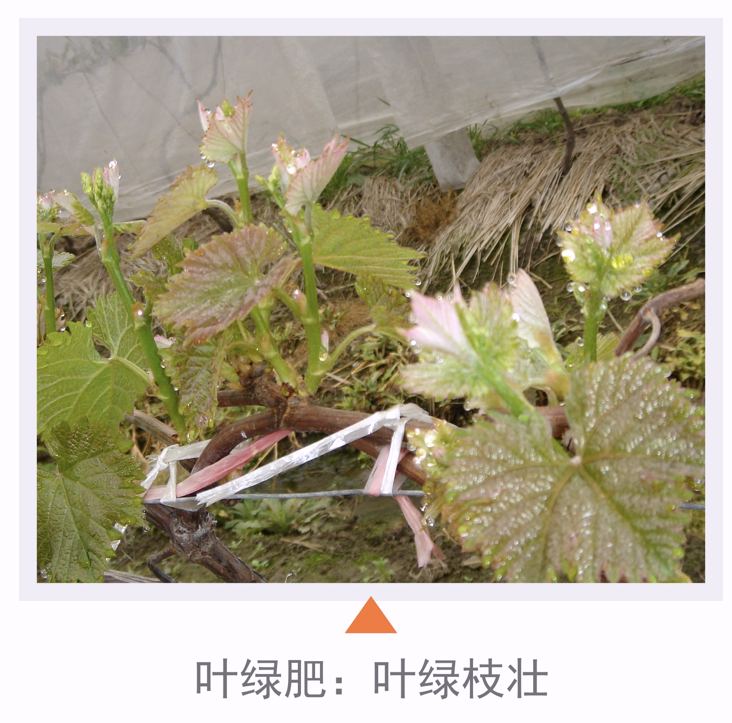 wechat_2025-10-23_103411_050.png