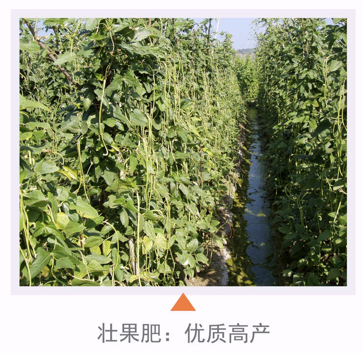 wechat_2025-10-23_103423_860.png