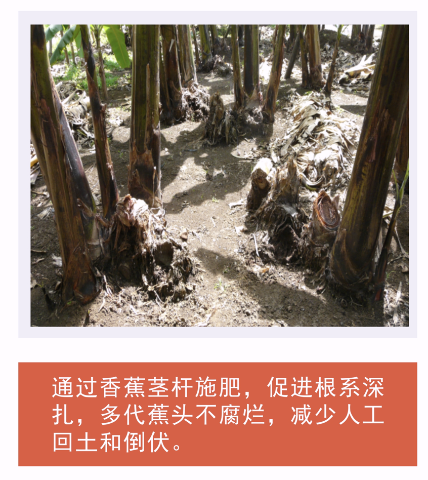wechat_2025-10-23_112019_793.png