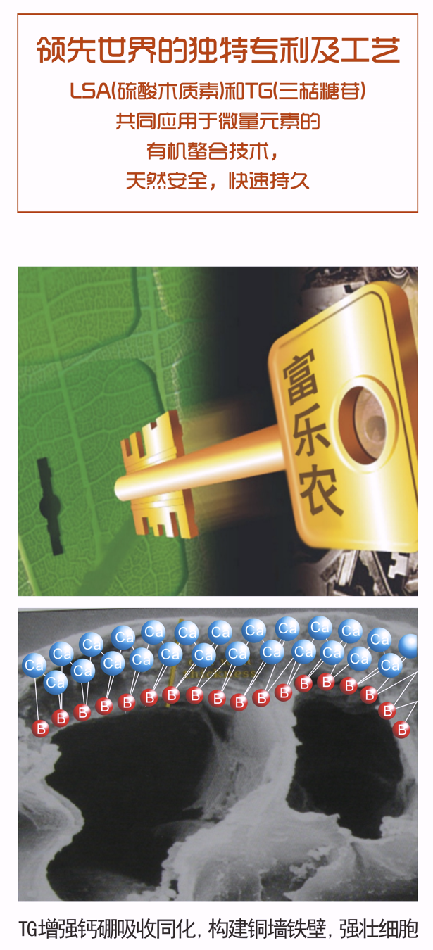 wechat_2025-10-23_113949_980.png