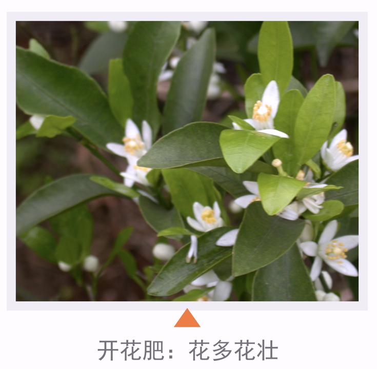 wechat_2025-10-23_103416_818.png