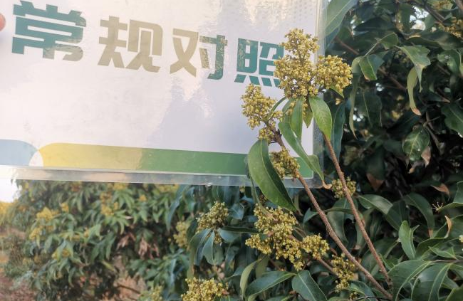 图片8.png