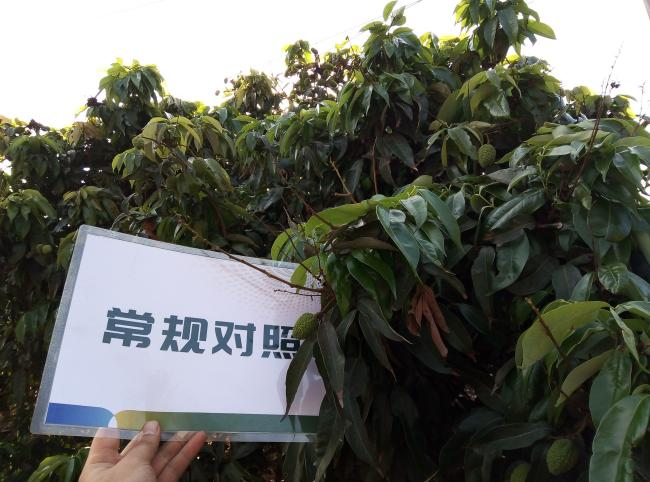 图片10.png